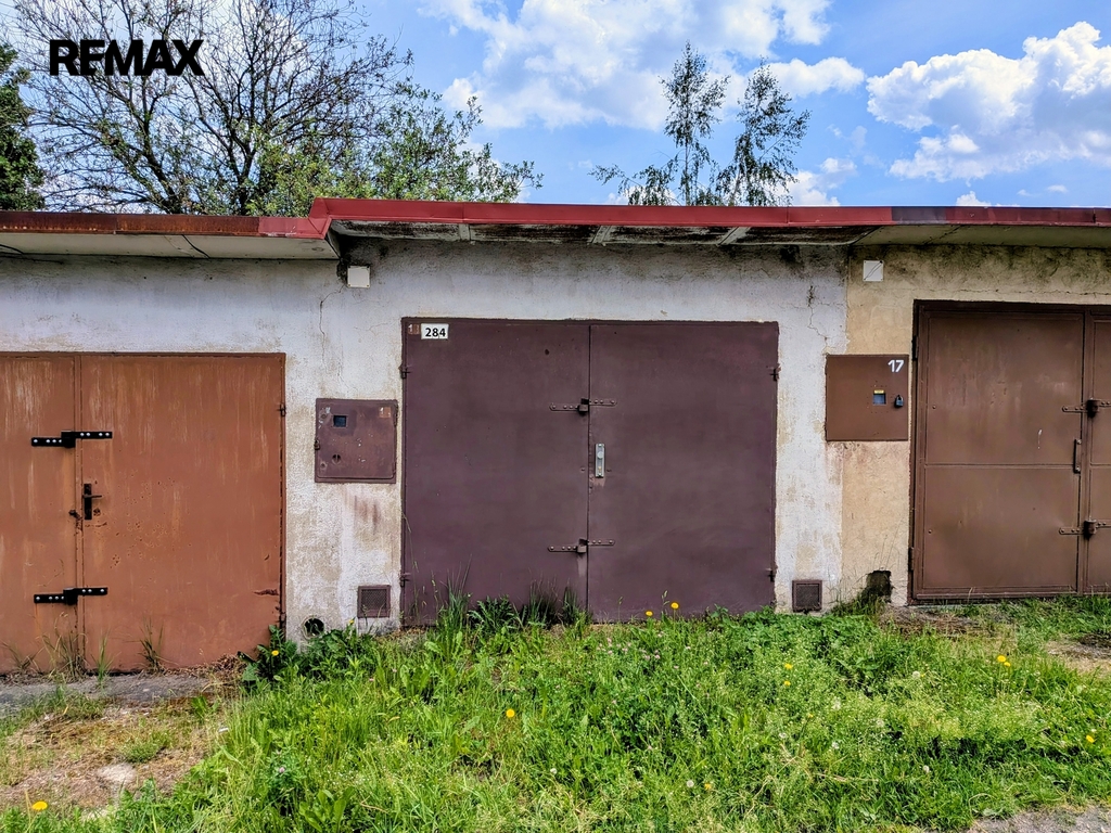 pxl-20260602-115340228-2.jpg