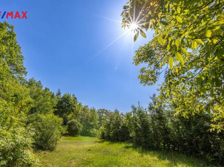 Prodej - pozemek pro bydlení, 1 591 m²