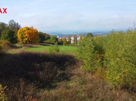 Prodej pozemku pro bydlení, 3 965 m²