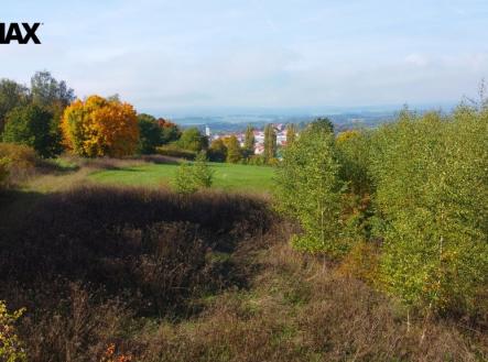 Prodej pozemku pro bydlení, 3 965 m²