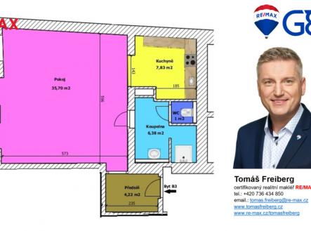 Pronájem bytu, 1+kk, 55 m²