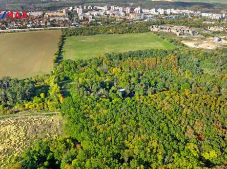 Prodej - pozemek, les, 17 570 m²