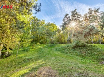 Prodej pozemku, les, 17 570 m²