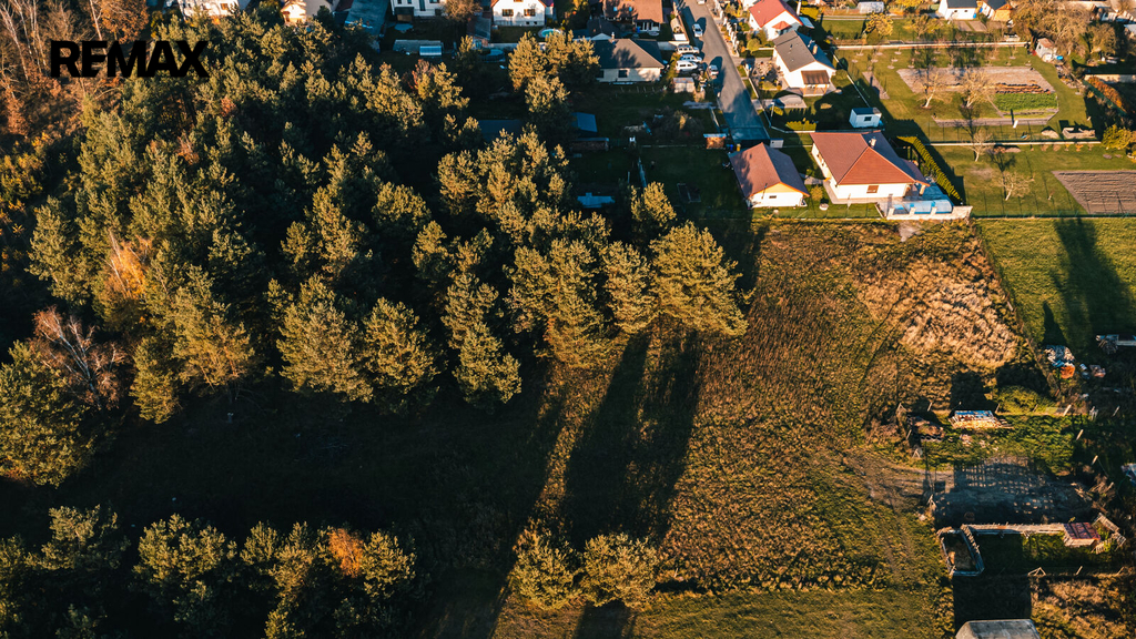 dji-0300.jpg