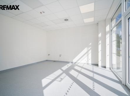 Pronájem jiné komerční nemovitosti, 41 m²