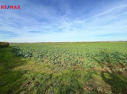 Prodej pozemku pro bydlení, 4 084 m²