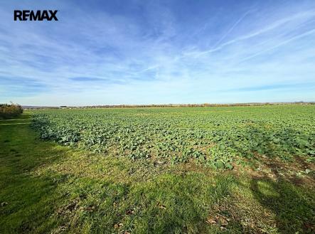 Prodej pozemku pro bydlení, 4 084 m²