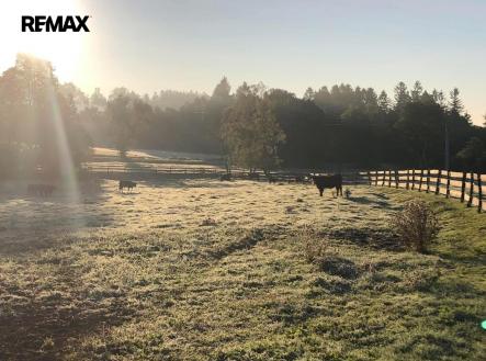 Prodej pozemku, ostatní, 172 102 m²