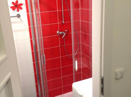 Pronájem bytu, 2+kk, 47 m²