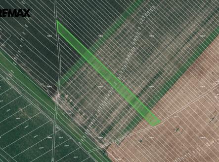 Prodej pozemku, zemědělská půda, 4 449 m²