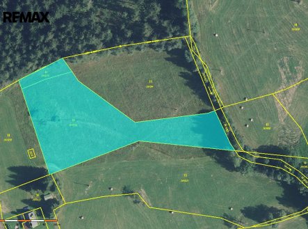 Prodej rozsáhlého pozemku k bydlení 5776 m2 v Borové u Poličky