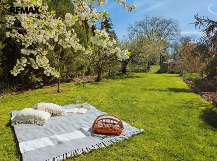 Prodej pozemku, zahrada, 1 715 m²