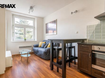 Pronájem bytu, 1+1, 43 m²