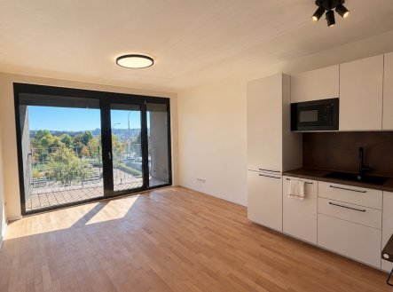 Pronájem bytu, 1+kk, 34 m²