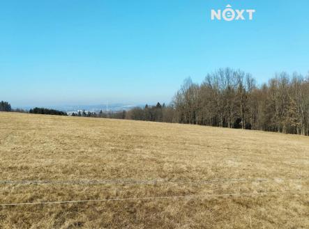 Prodej pozemku, trvalý travní porost, 2 924 m²