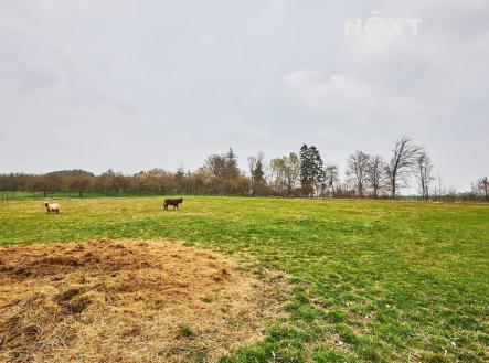 Prodej pozemku pro bydlení, 8 407 m²