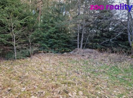 Prodej pozemku pro bydlení, 665 m²