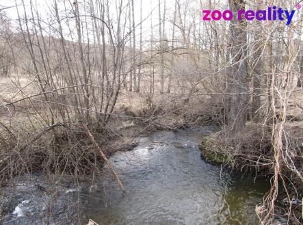 Prodej pozemku, trvalý travní porost, 7 754 m²