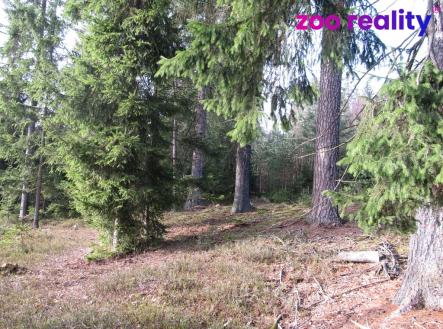 Prodej pozemku, les, 4 056 m²