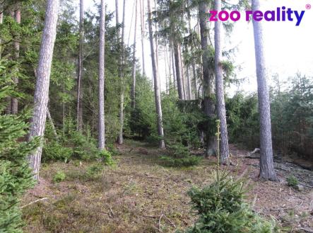 Prodej pozemku, les, 4 056 m²