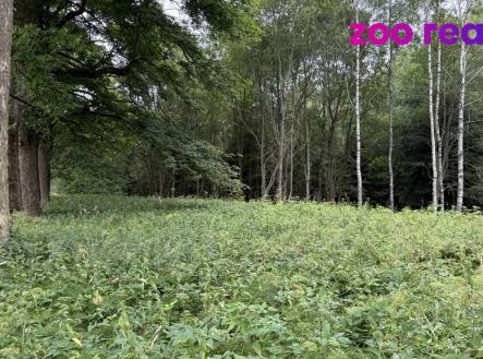 Prodej - pozemek, trvalý travní porost, 3 188 m²