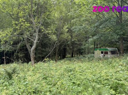 Prodej - pozemek, trvalý travní porost, 3 188 m²