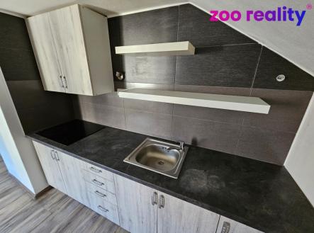 Pronájem bytu, 2+1, 298 m²