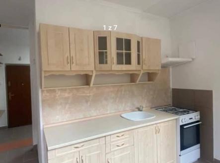 Pronájem bytu, 2+1, 55 m²