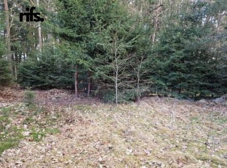 Prodej pozemku pro bydlení, 665 m²