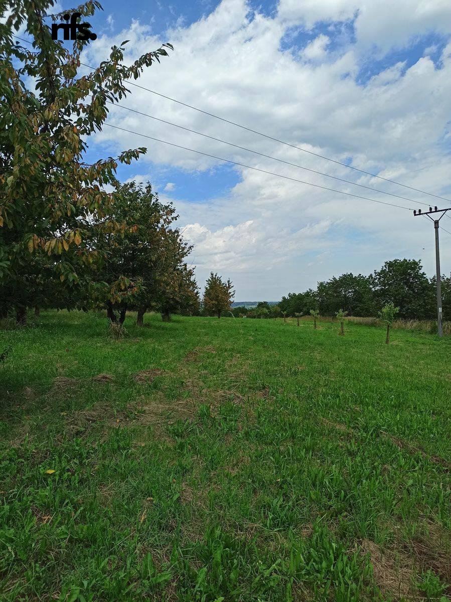 Prodej pozemek Bydlení, 2 668㎡|Prachatice, Jihočeský kraj, Lhenice, 38402