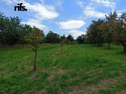 Prodej pozemku pro bydlení, 2 668 m²