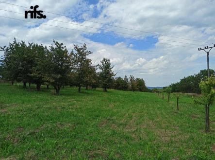 Prodej pozemku pro bydlení, 2 668 m²