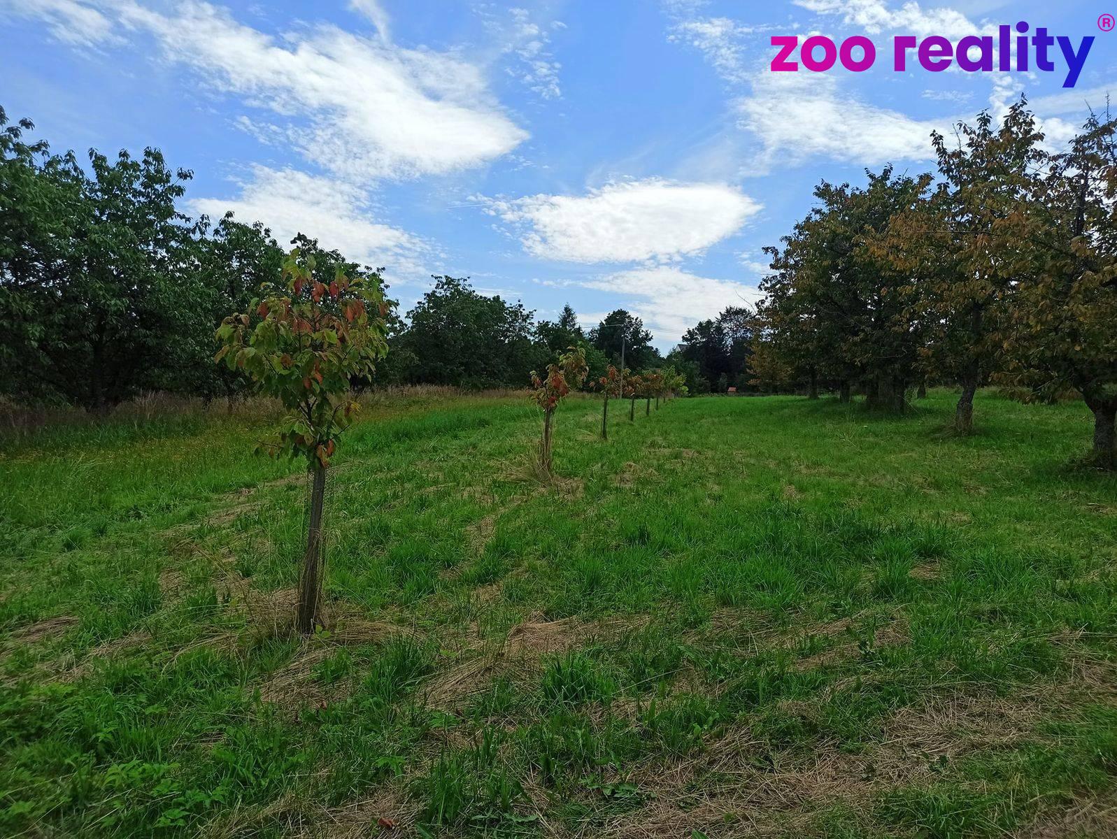 Prodej pozemek Bydlení, 2 668㎡|Prachatice, Jihočeský kraj, Lhenice, 38402