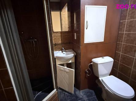 Pronájem bytu, 1+1, 39 m²