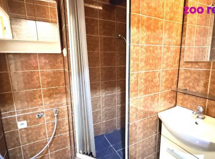 Pronájem bytu, 1+1, 39 m²