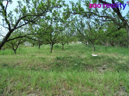 Prodej domu/vily, 43 m²