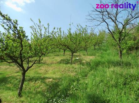 Prodej domu/vily, 43 m²