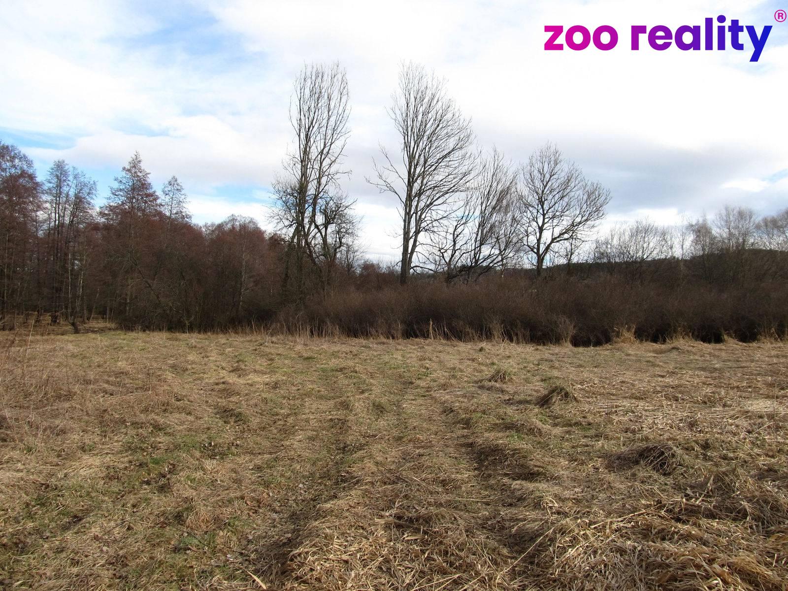 Prodej pozemek Louky, 11 151㎡|Český Krumlov, Jihočeský kraj, Kájov, Kladenské Rovné, 38101