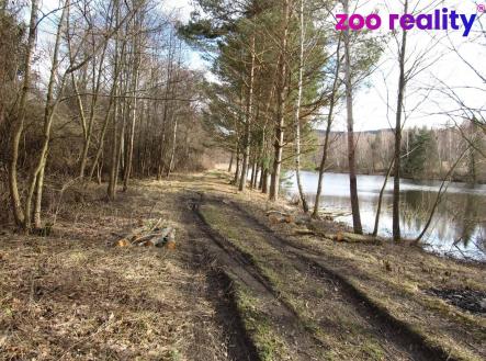 Prodej pozemku, trvalý travní porost, 11 151 m²