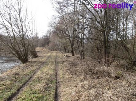 Prodej pozemku, trvalý travní porost, 11 151 m²