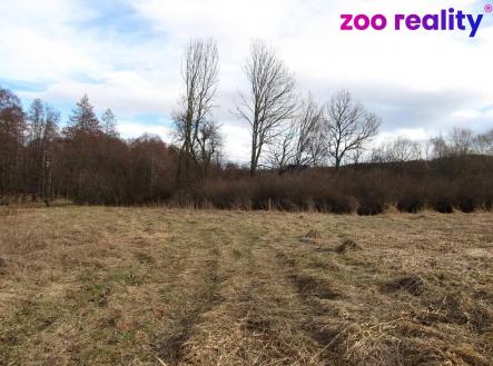 Prodej pozemku, trvalý travní porost, 11 151 m²