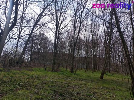 Prodej pozemku pro bydlení, 4 338 m²