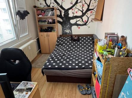 Prodej bytu, 3+1, 56 m²