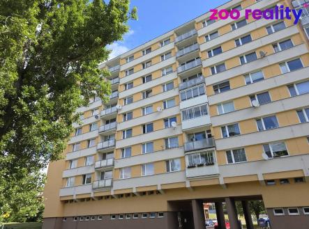 Pronájem bytu, 1+kk, 22 m²