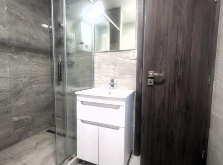 Pronájem bytu, 2+kk, 52 m²