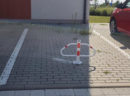 Pronájem
