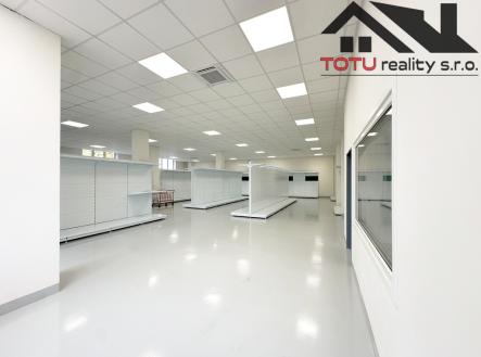 Pronájem obchodní prostor, 391 m²