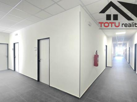 Pronájem kanceláře, 17 m²