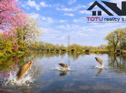 Prodej pozemku, ostatní, 44 772 m²