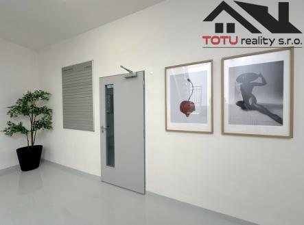 Pronájem kanceláře, 45 m²